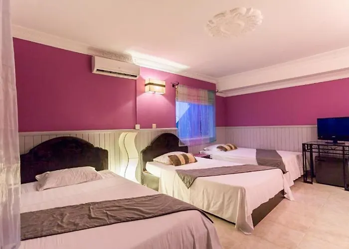 The Leaf Boutique Hotel 4*